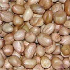5  kg sack OF PEANUTS WILD BIRD SAFE QUALITY PEANUT,for table and feeds FREEPOST